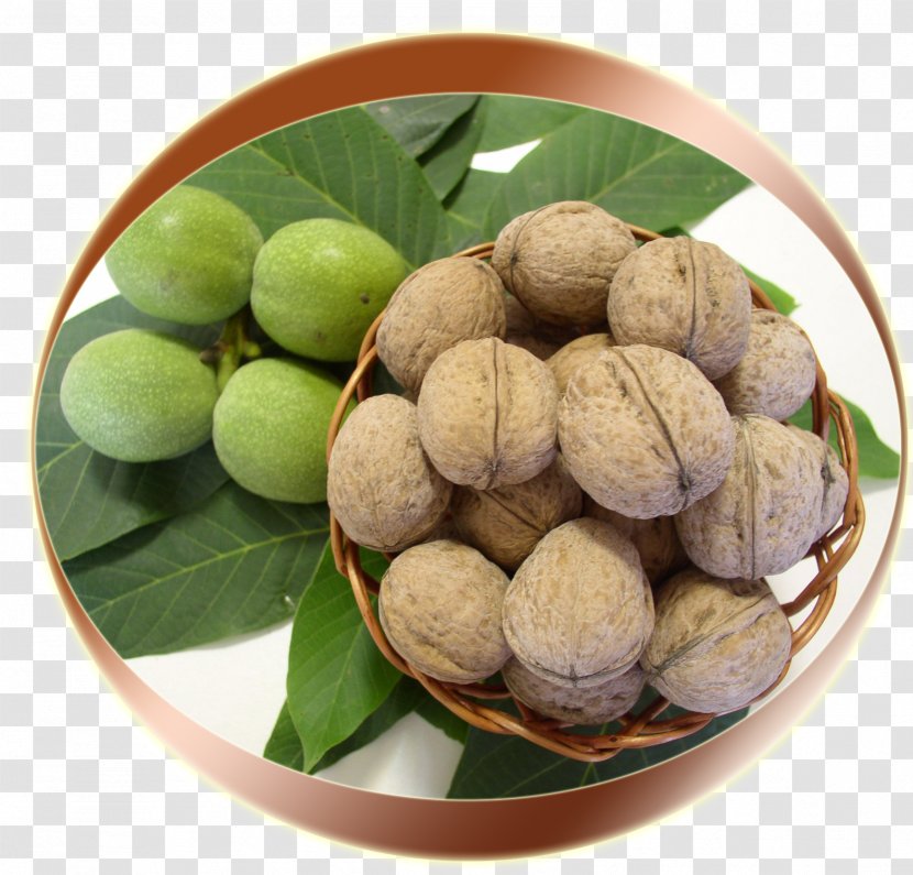 Walnut Macadamia Longan Superfood - Ingredient Transparent PNG