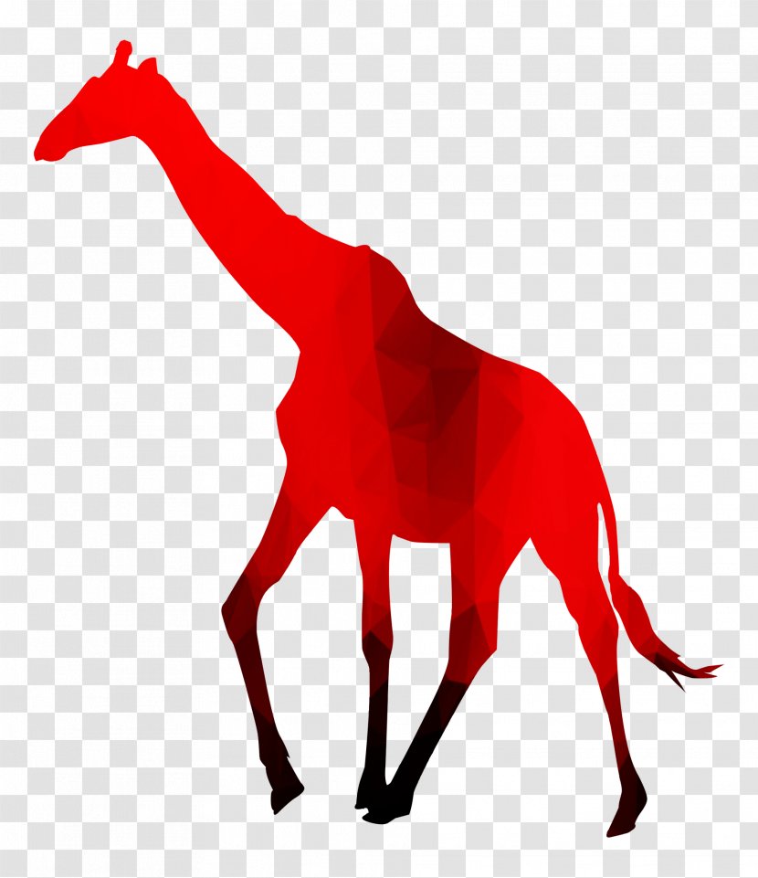 Royalty-free Africa Northern Giraffe Image Map - Silhouette Transparent PNG