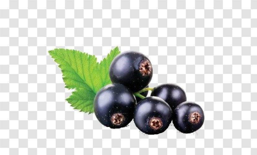 Juice Blackcurrant Fruit Stock Photography - Chokeberry Transparent PNG