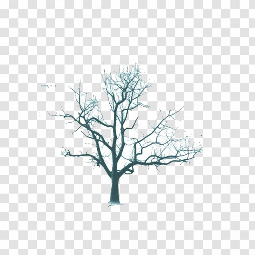 Brush Photoshop Plugin - Woody Plant - Dead Tree Transparent PNG
