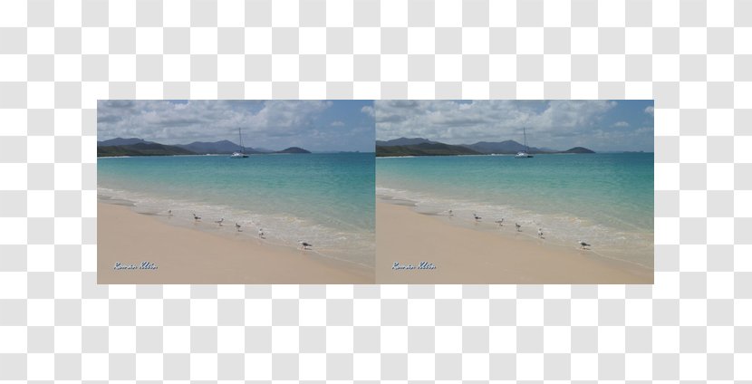 Caribbean Beach Coast Ocean Inlet - Project Reality Transparent PNG