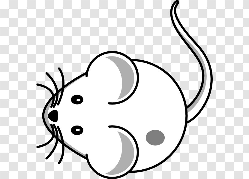 Computer Mouse Whiskers Drawing Clip Art - Rat Transparent PNG