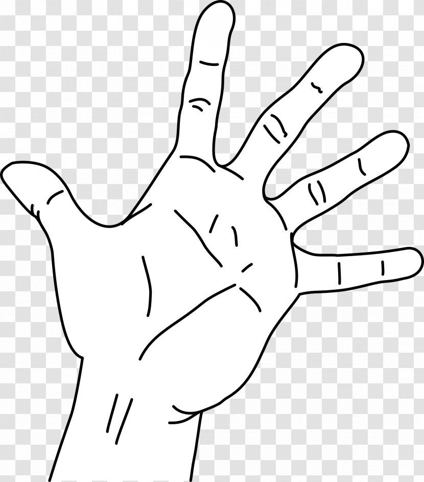 Span Palm Measurement Hand Finger - Cartoon - The Of Your Transparent PNG