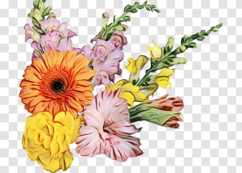 Floral Design Transvaal Daisy Cut Flowers Nosegay - Flower Bouquet Transparent PNG