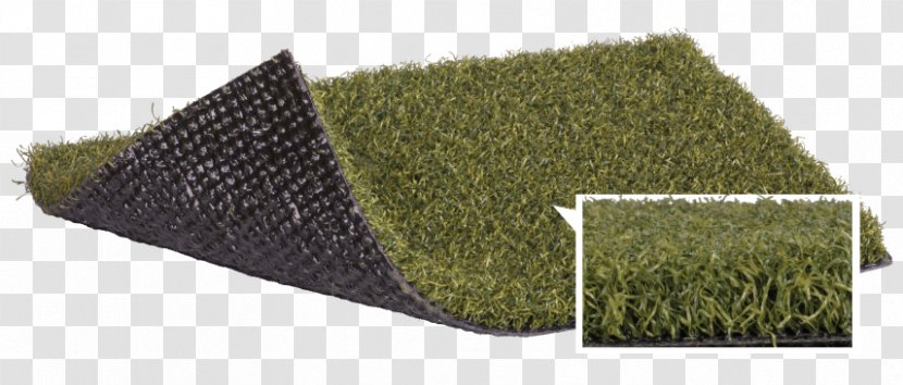Artificial Turf Lawn FieldTurf Polytan Agrostis Stolonifera - Grass - Distribution Transparent PNG