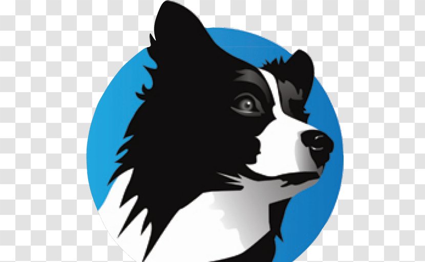 Dog Breed Border Collie Rough Puppy Smooth - Group Transparent PNG