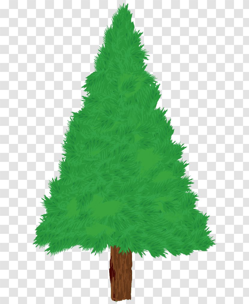 Christmas Tree Spruce Day Illustration O Tannenbaum - Conifer Transparent PNG