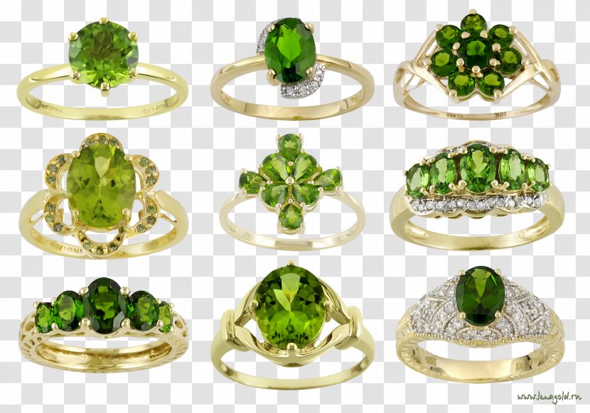 Ring Jewellery Bitxi - Tree Transparent PNG