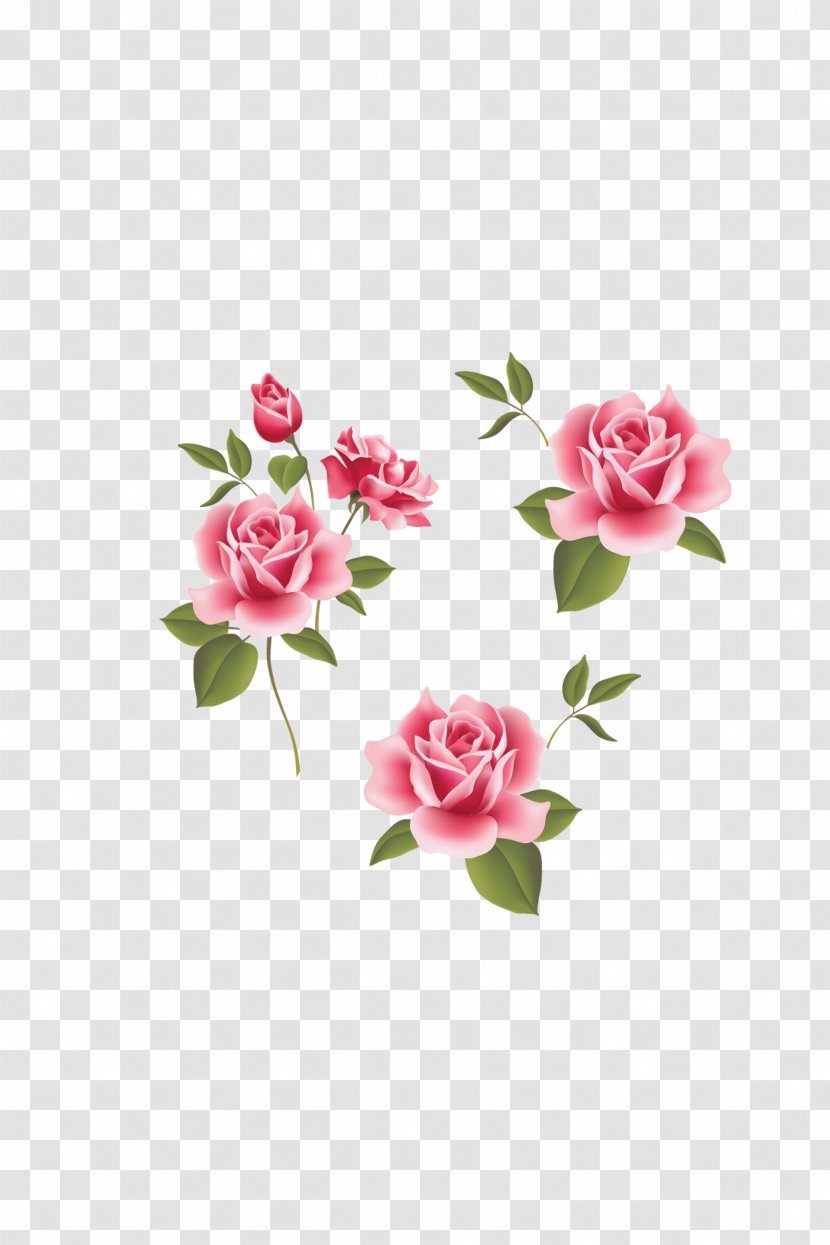 Garden Roses Beach Rose Pink Flower - Blue - Rose,Pink Roses,Pink Flowers,flower Transparent PNG