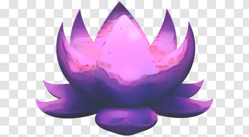 Candle Diwali Clip Art Image - Flower - Magenta Transparent PNG