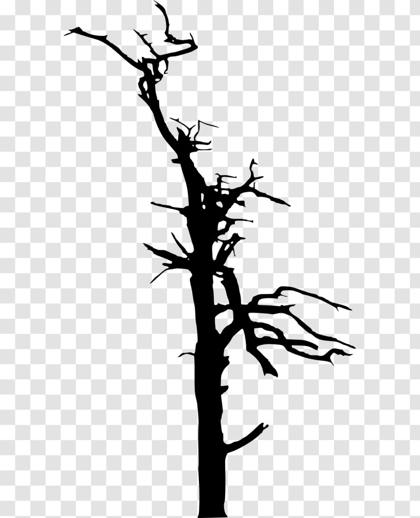Twig Silhouette Black And White Clip Art - Artwork Transparent PNG
