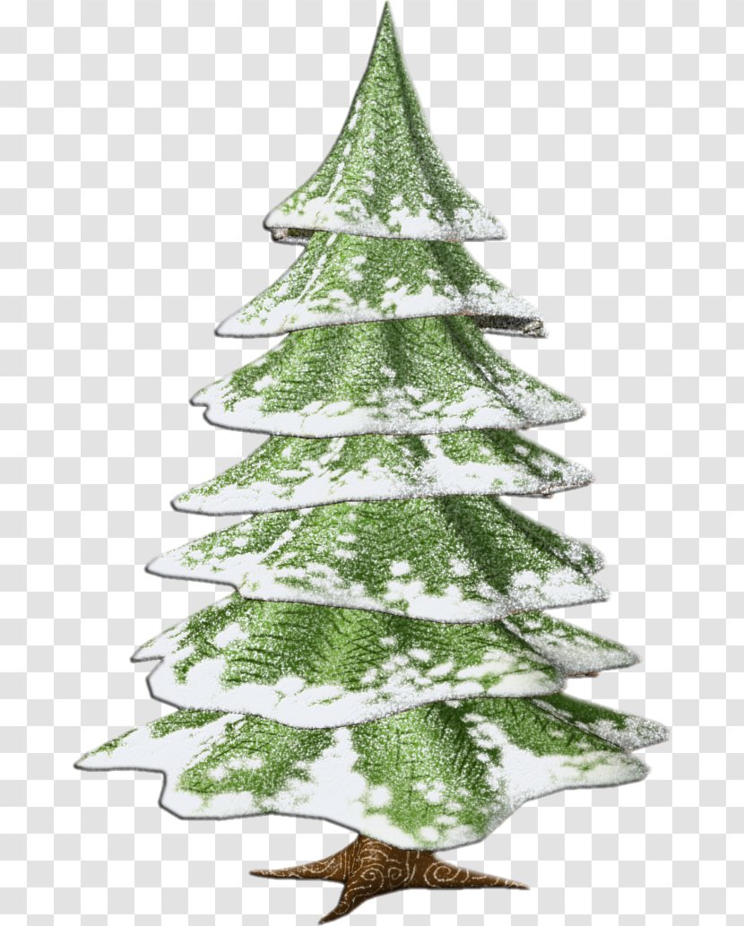 Spruce Christmas Tree Fir Decoration - Branch Transparent PNG