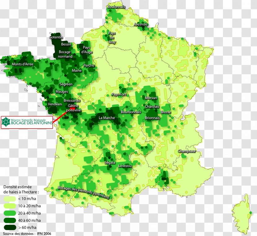 Réserve Naturelle Régionale Du Bocage Des Antonins Normand Map Norman Language - Ecoregion Transparent PNG