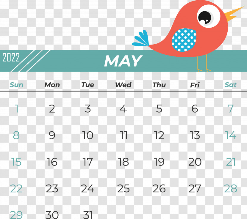 Line Font Calendar Beak Number Transparent PNG