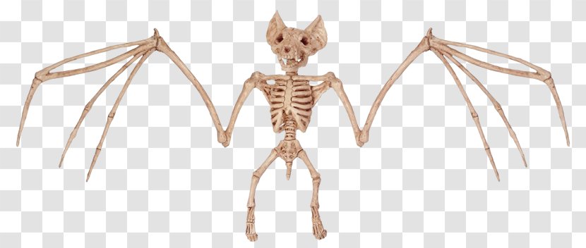 Bat Bone Human Skeleton Halloween - Cartoon - Bats Pictures Transparent PNG