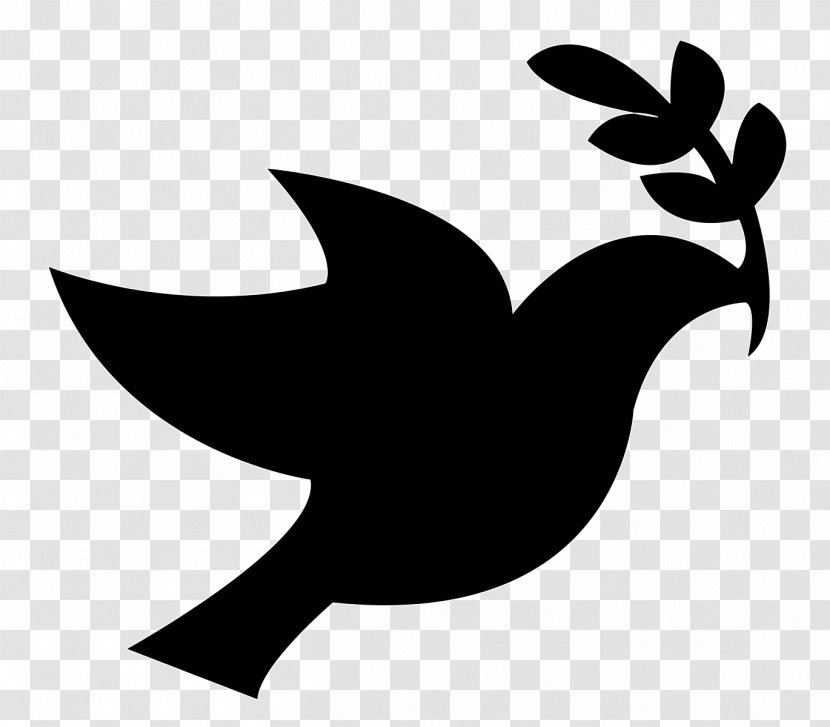 Doves As Symbols Peace Columbidae Clip Art - Beak Transparent PNG
