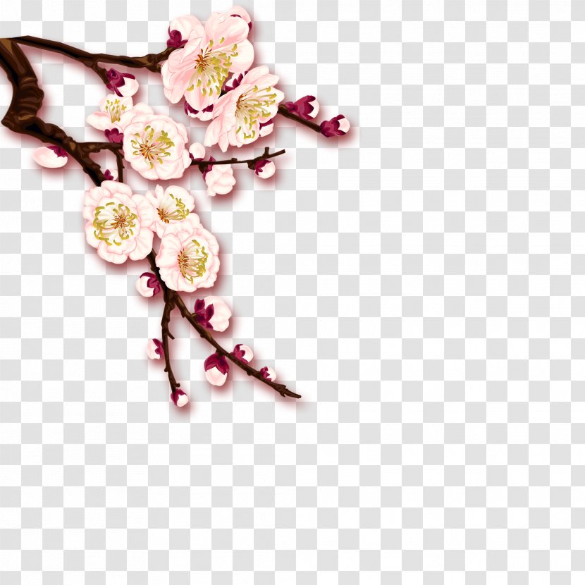 Plum Blossom Clip Art - Flower Bouquet - Pattern Transparent PNG