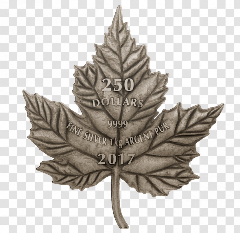 Flag Of Canada The Maple Leaf Forever Canadian Silver - A Bunch Leaves Transparent PNG