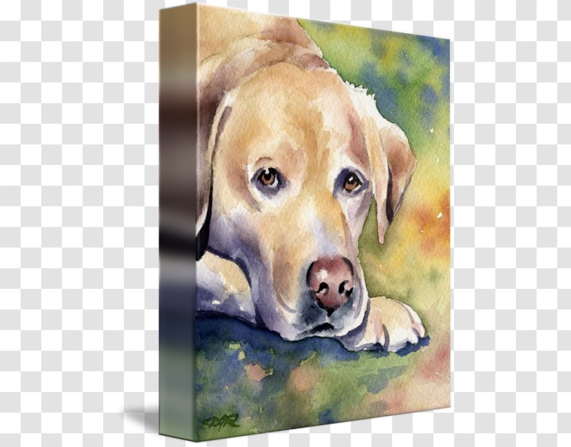 Labrador Retriever Puppy Dog Breed Watercolor Painting - Mammal Transparent PNG