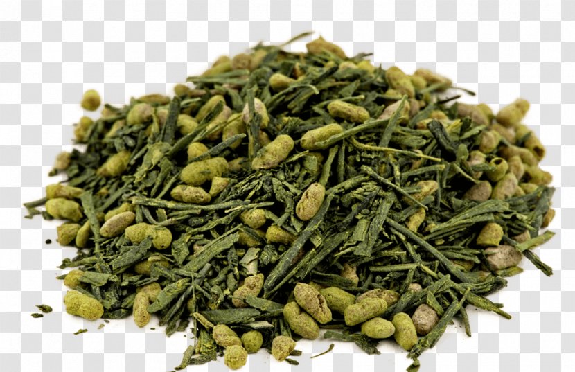 Genmaicha Sencha Nilgiri Tea Green - Bancha Transparent PNG