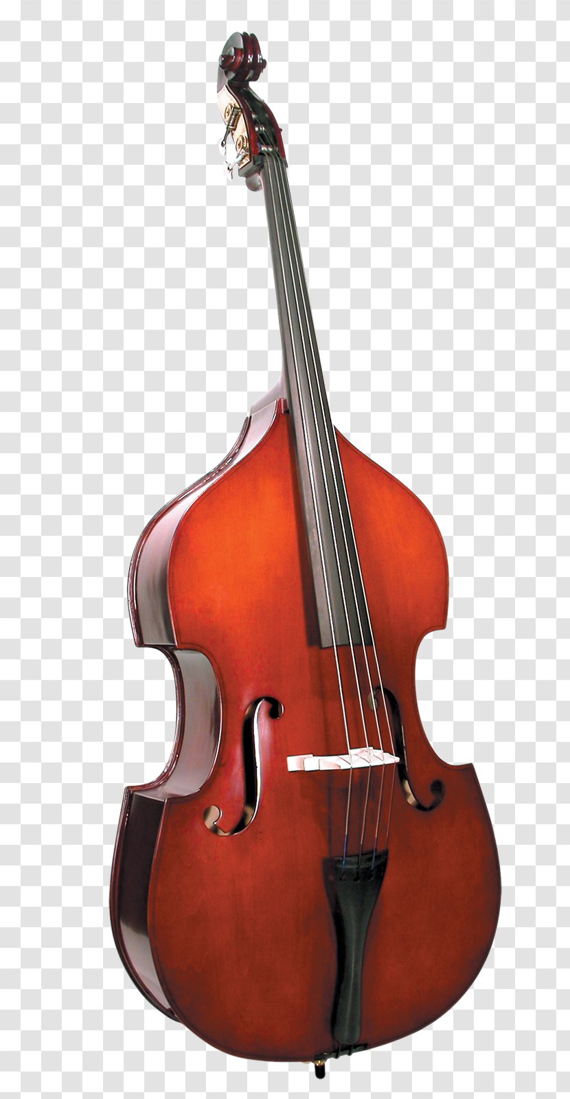 Double Bass Guitar Violin Cello Viola - Flower Transparent PNG