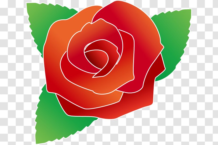 Garden Roses Royalty-free Clip Art - Rose Order Transparent PNG