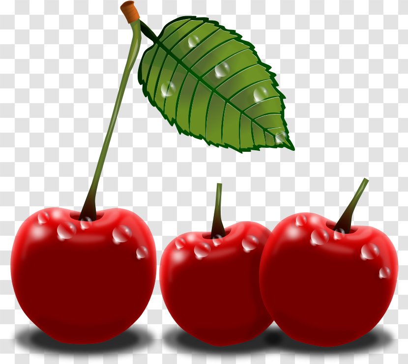 Cherry Free Content Clip Art - Natural Foods - Cherries Cliparts Transparent PNG