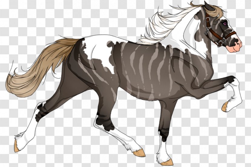 Mane Foal Horse Stallion Pony - Equestrian Sport Transparent PNG