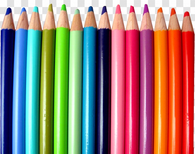 Web Design Page Graphic - Office Supplies - CRAYONS Transparent PNG