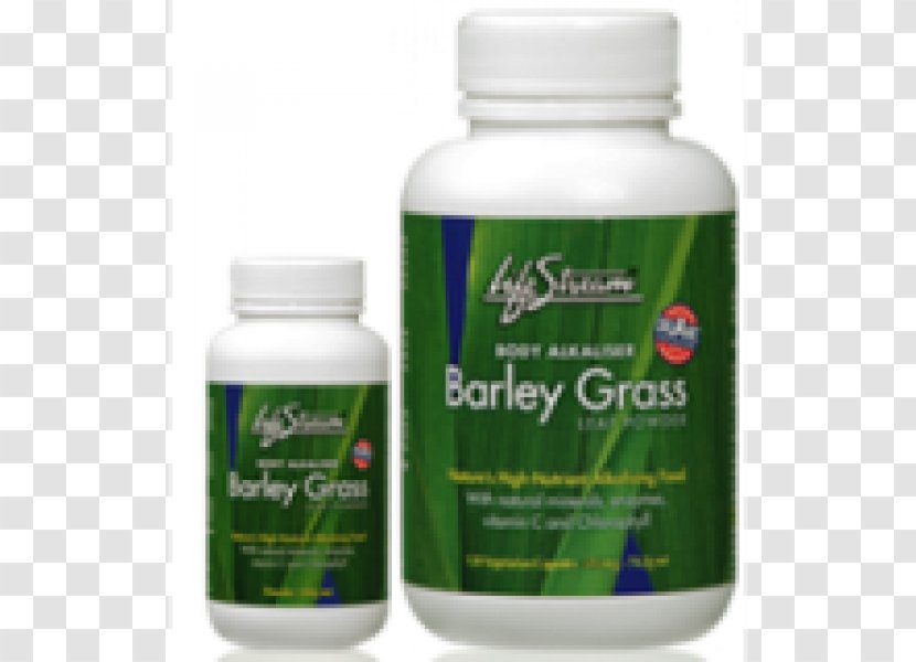 Dietary Supplement Barley Organic Food Grasses Fiber - Plant - Grass Transparent PNG