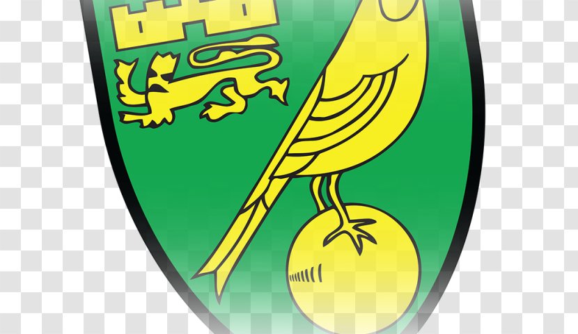 Norwich City F.C. EFL Championship Ipswich Town Birmingham Aston Villa - Michael Owen - Fc Transparent PNG