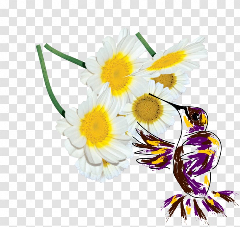 Floral Design Cut Flowers Flower Bouquet Chrysanthemum - Daisy Transparent PNG