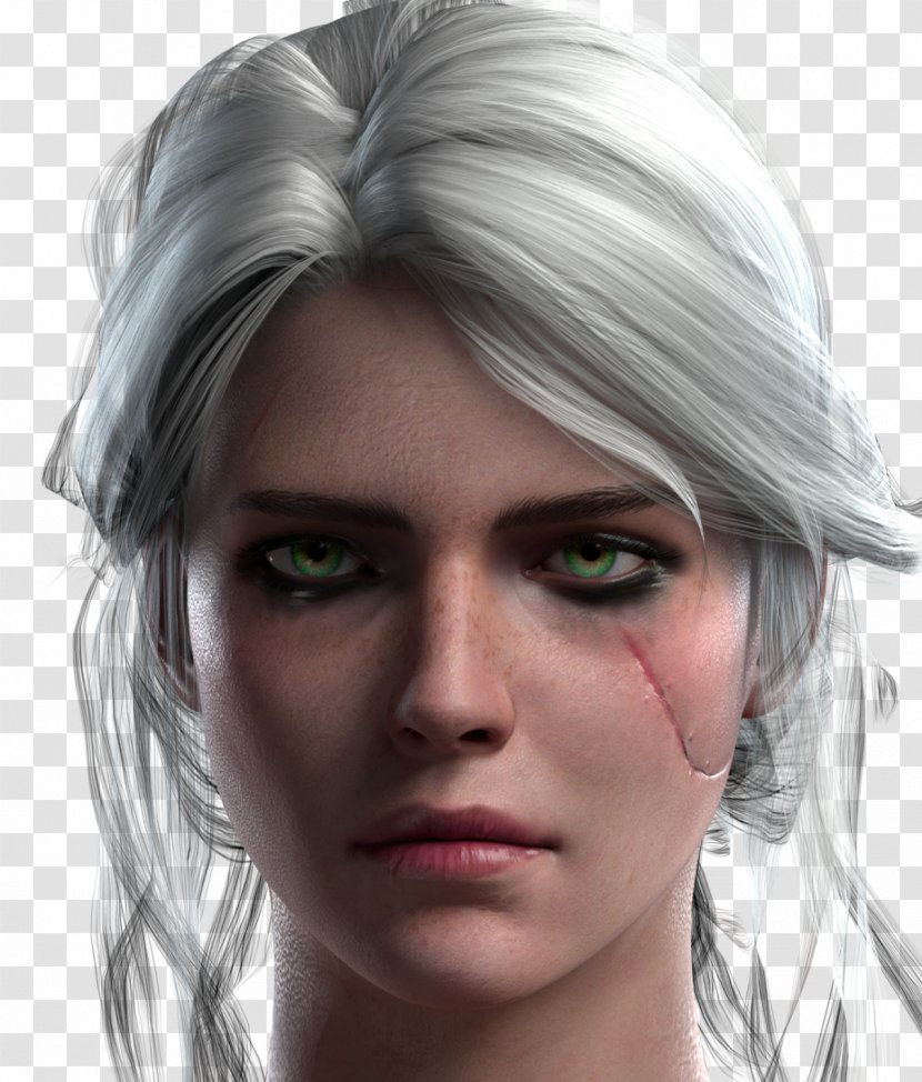 The Witcher 3: Wild Hunt Geralt Of Rivia Ciri Video Games - Streamer Transparent PNG