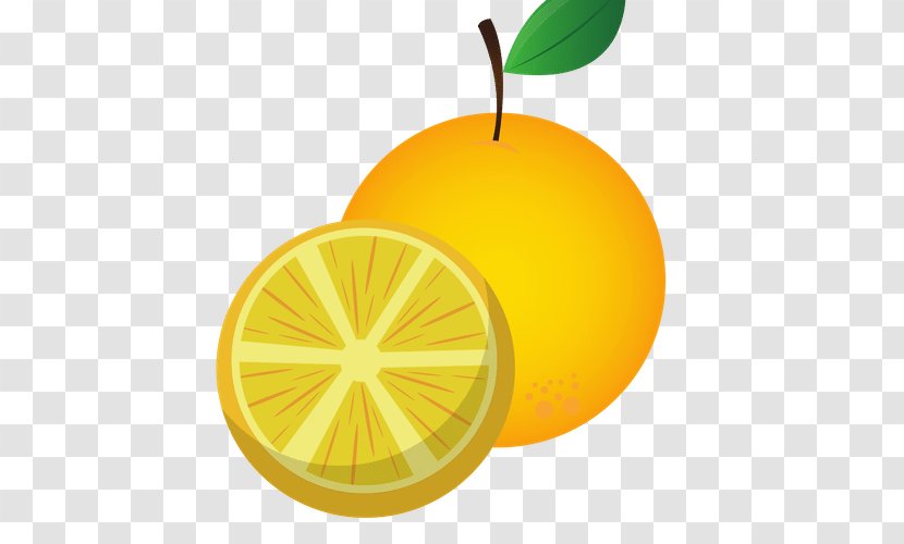 Lemon Mandarin Orange Tangerine Citron - Food Transparent PNG