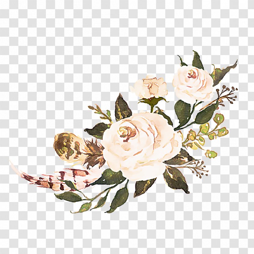 Garden Roses - Rose - Flowering Plant Bouquet Transparent PNG