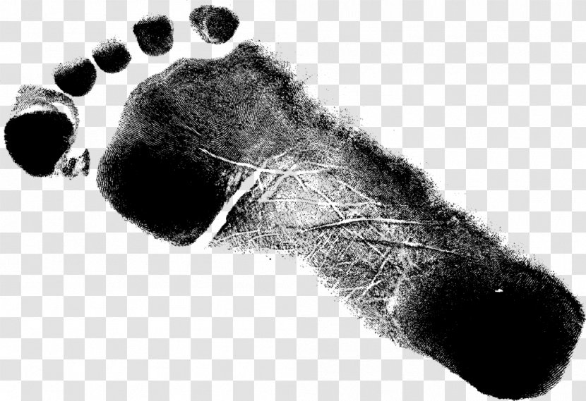Shoe Footprint Grunge Paw Transparent PNG