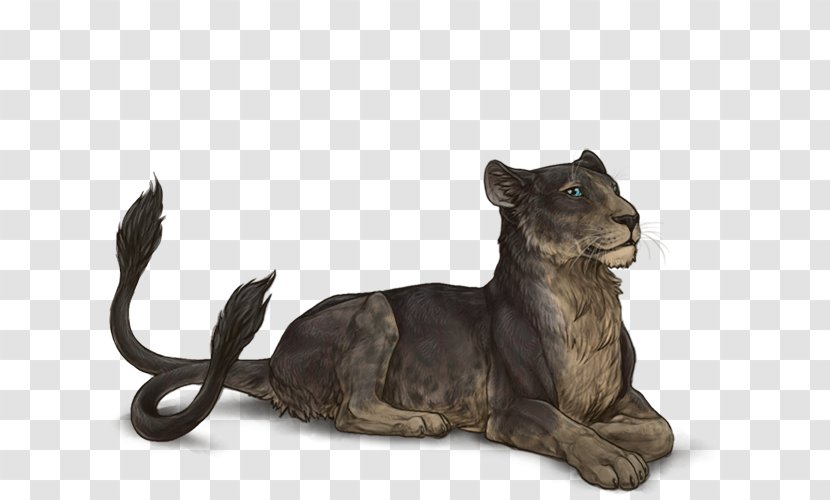 Lion Adinkra Symbols Drawing Melanism Felidae Transparent PNG