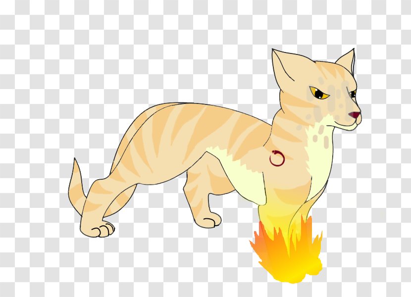 Whiskers Dog Breed Cat Red Fox - Tail Transparent PNG
