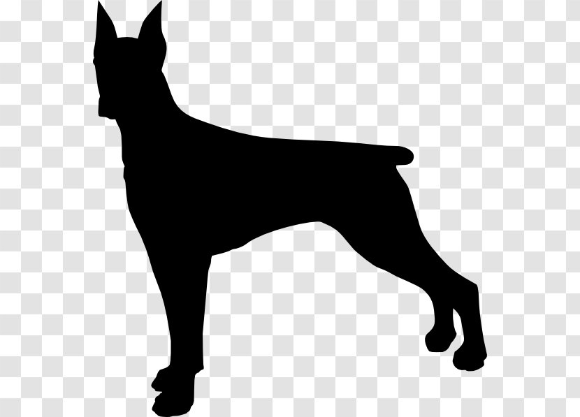 Dobermann German Shepherd Rottweiler Pinscher Miniature - Dog Like Mammal - Silhouette Transparent PNG