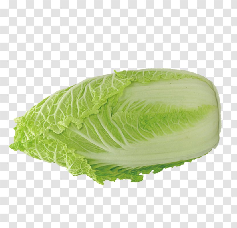 Organic Food Vegetable Napa Cabbage Chinese Transparent PNG