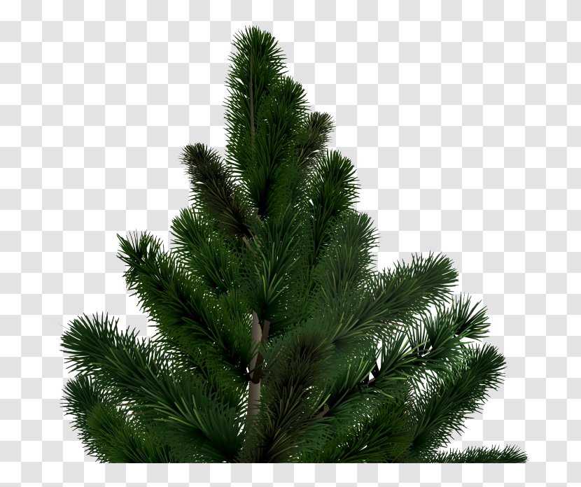 Fir Christmas Tree - Biome - Material Transparent PNG