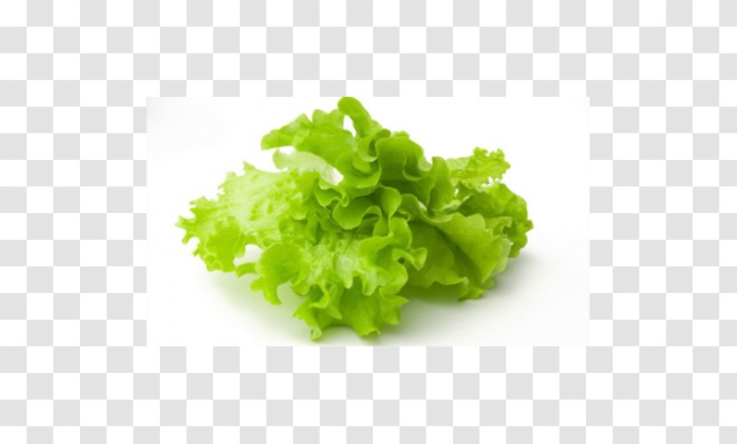 Salad Iceberg Lettuce Vegetable Herb Fruit - Red Leaf Transparent PNG