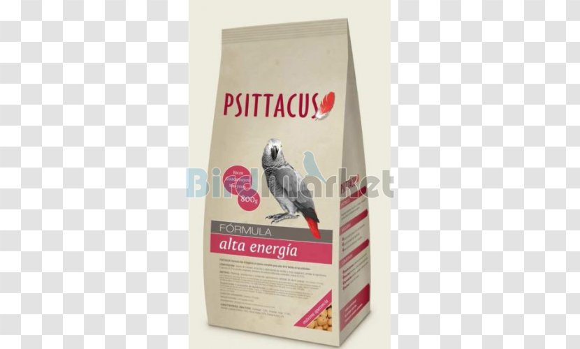 Parrots Bird Organic Food Grey Parrot - Cockatoo - African Transparent PNG