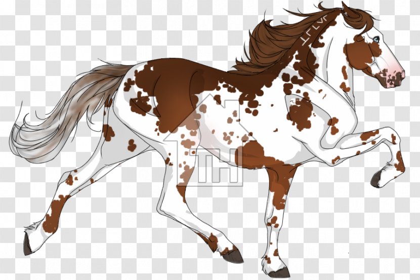 Mane Mustang Foal Stallion Colt - Horse Tack Transparent PNG
