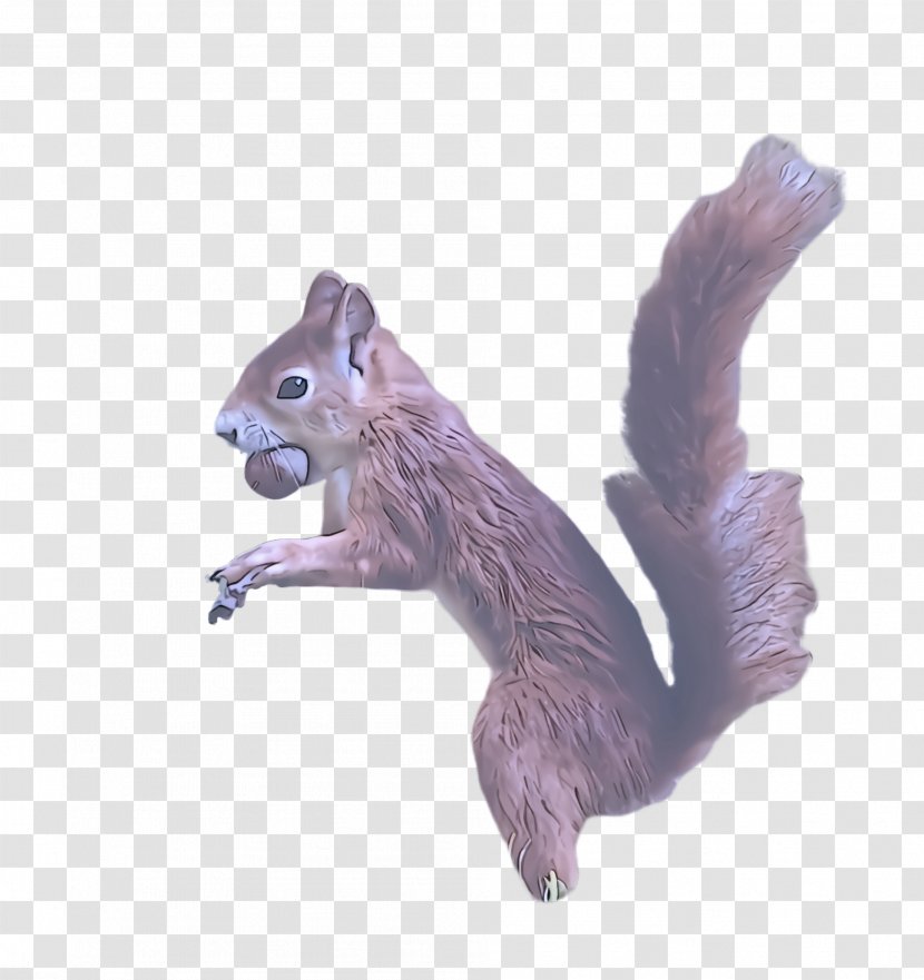 Squirrel Fox Animal Figure Ground Squirrels Chipmunk - Tail - Eurasian Red Transparent PNG