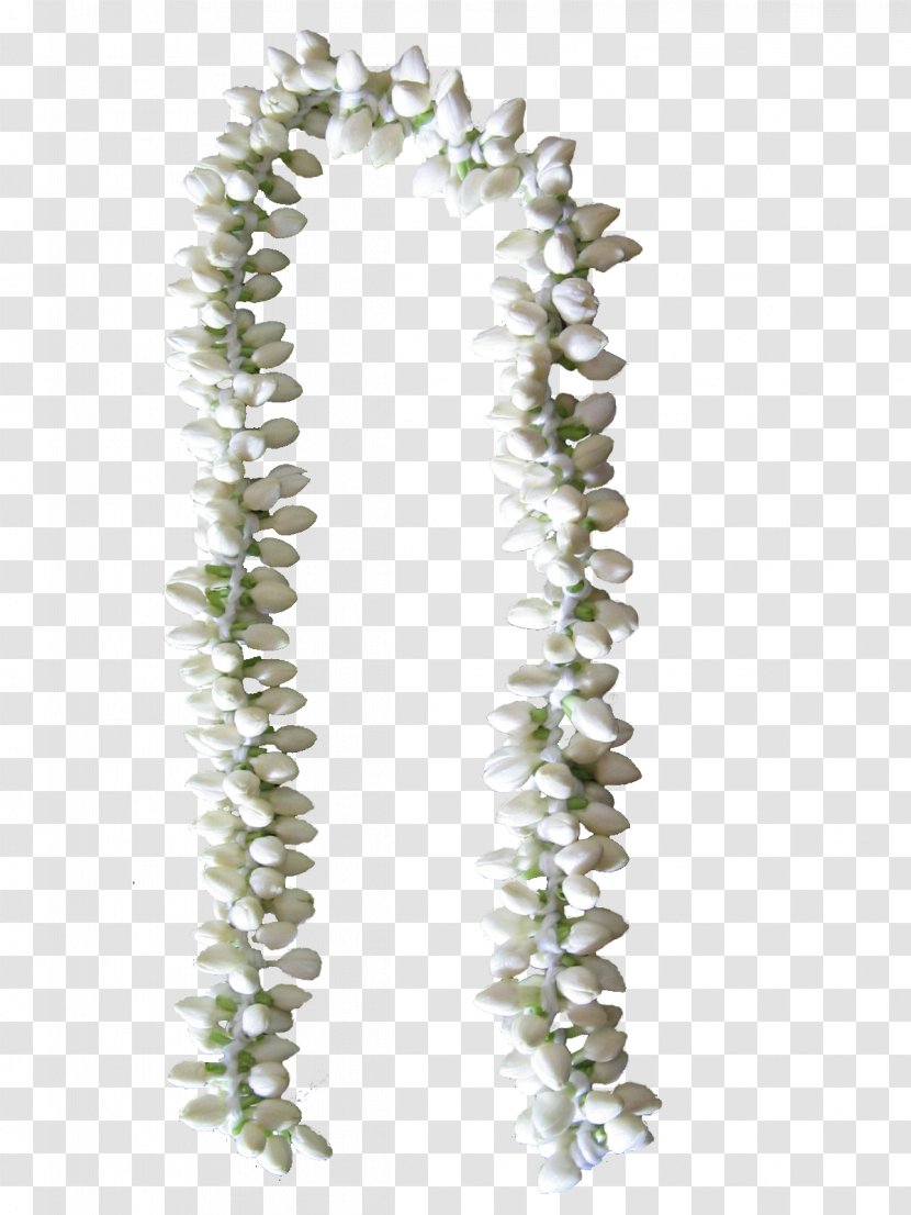 Tree - Ivy - Flower Garland Transparent PNG