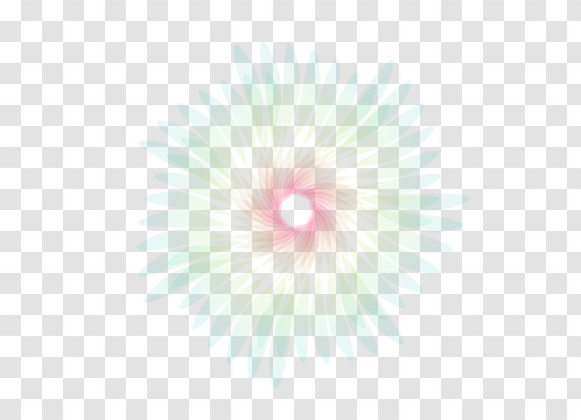 Desktop Wallpaper Pink M Close-up Line Computer Transparent PNG