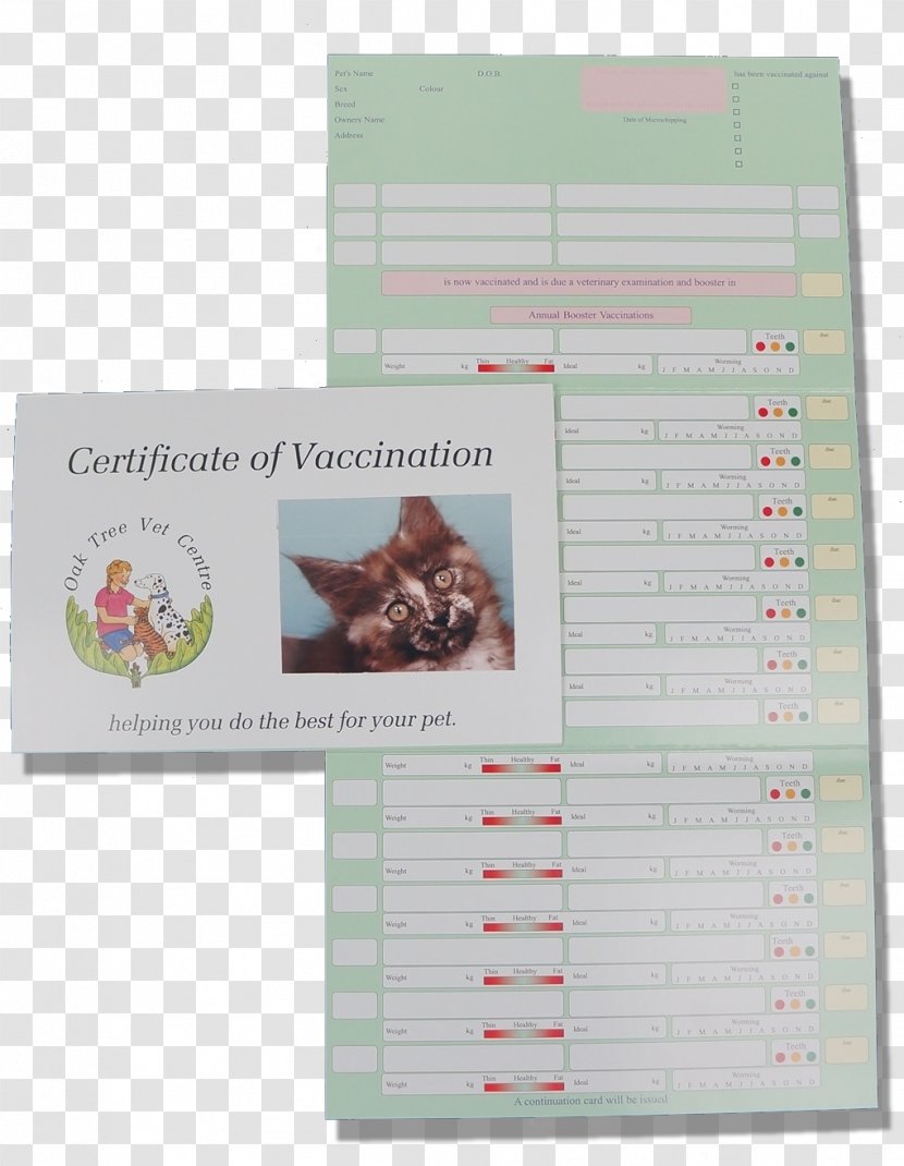 Kitten The Complete Cat Breed Book Edinburgh Vaccination Transparent PNG