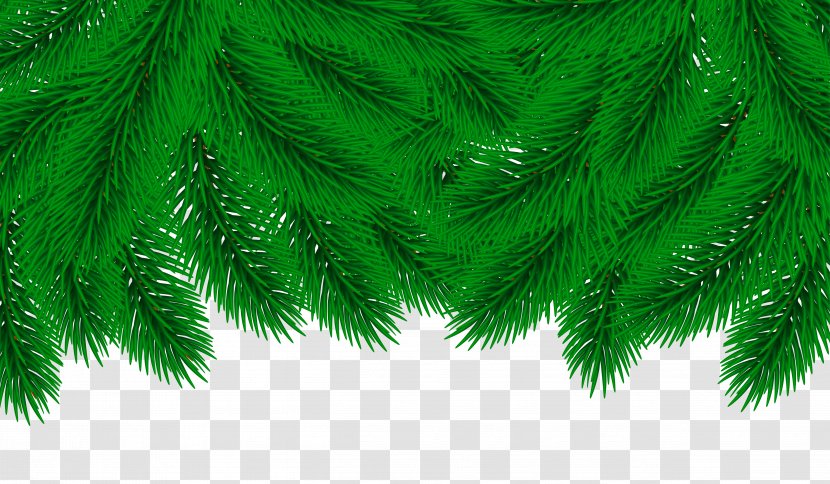 Christmas Clip Art - Branch - Pine Border Decor Transparent Image Transparent PNG
