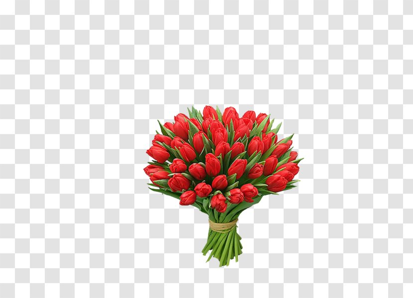 Tulip Flower Bouquet Gift International Women's Day - Plant Transparent PNG
